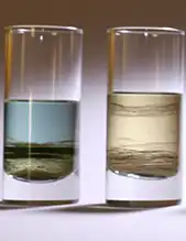 Sedimentation taken from the secodary treatment process