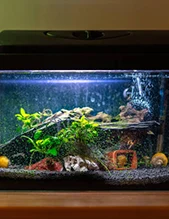 Aquarium