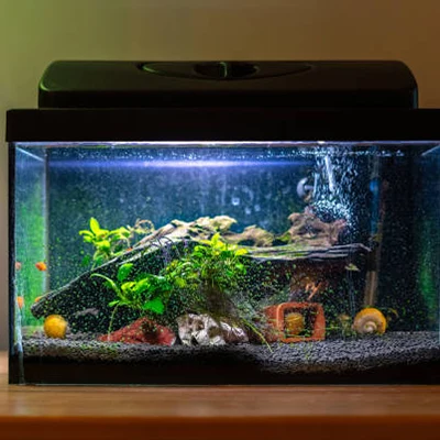 Aquarium